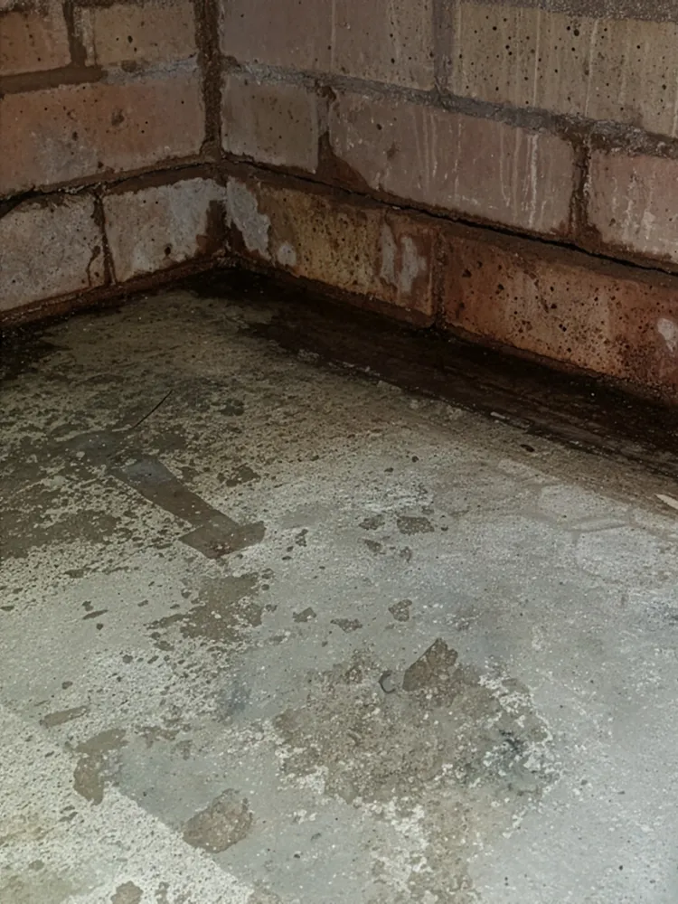 Architectural Services Scotland - Avoiding the 3 Costliest Mistakes of Garage Conversions - Damp garage floor problem